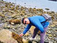 溫哥華波特灣省立公園:海水湛藍🌊