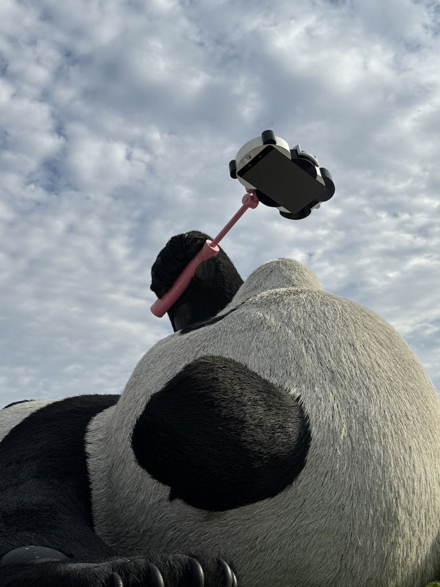 เดินเที่ยวในเมืองเฉิงตู 🐼
