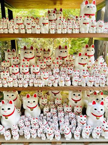 世田谷】🐈幸運の招き猫だらけ✨ | Trip.com 東京