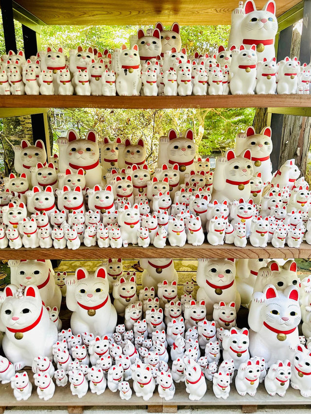 【世田谷】🐈幸運の招き猫だらけ✨