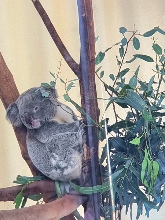 Taipei Zoo