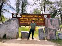 🌴 A Scenic Journey to Paradise: Koh Lipe via Wang Kelian & Pak Bara 🌊
