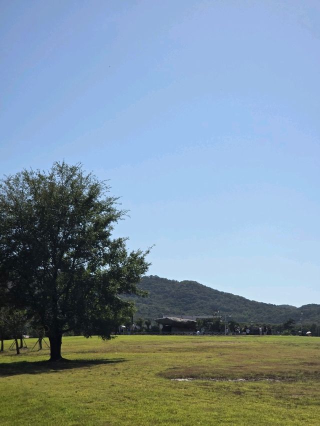 🌿 걷기 좋은 역사 산책길, 강화 고인돌공원