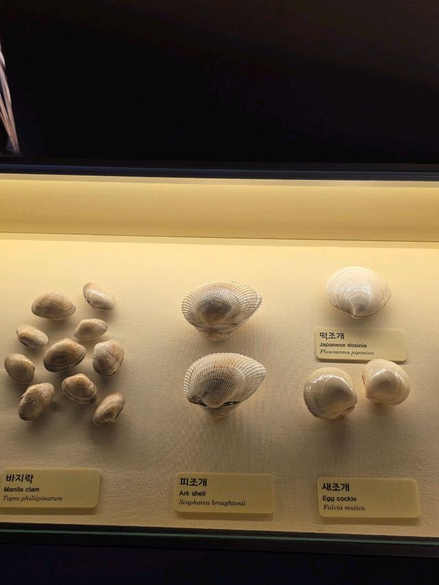 민물과 갯벌의 생명력을 느끼는 생물전시