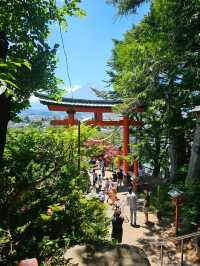 【秋日限定】淺間公園的夢幻畫面