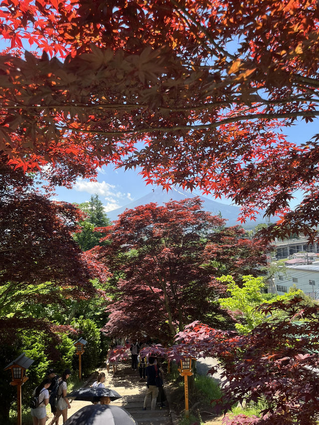 【秋日限定】淺間公園的夢幻畫面