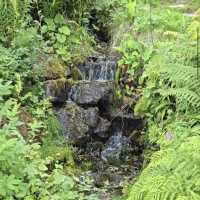 Arctic–Alpine Botanic Garden