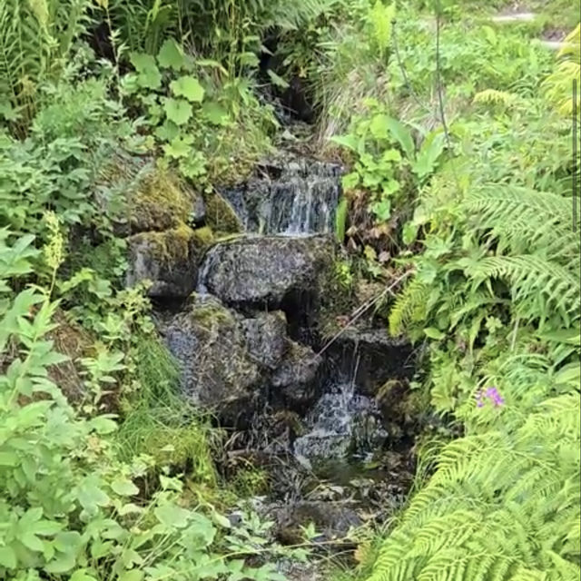 Arctic–Alpine Botanic Garden