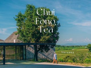 Choui Fong 茶園，每個來清萊旅遊的人必去的地方🌱✨