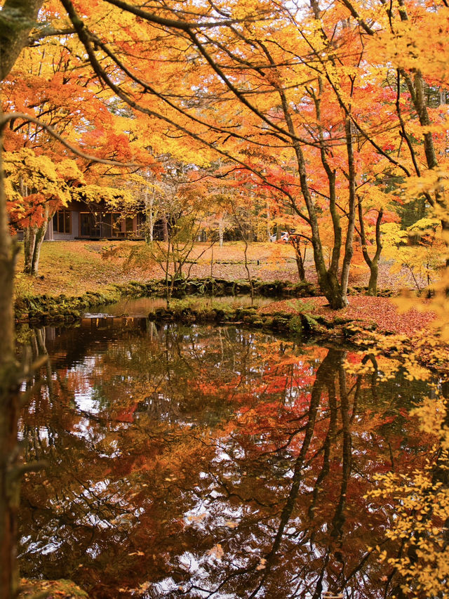 【旅行前に見て】観光攻略付‼️水鏡に映る優雅な紅葉を楽しむリゾート散策へ🍁✨ 🚶 【旅行前に見て】観光攻略付‼️水鏡に映る優雅な紅葉を楽しむリゾート散策へ🍁✨ 🚶