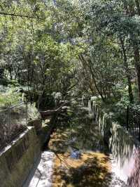 🌳 探訪「總理森林步道Prime Ministers’ Walk」：城市中的森林漫遊