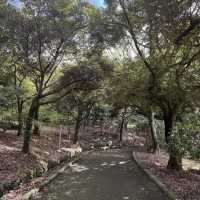 Halla Arboretum, Jeju Island,S.Korea