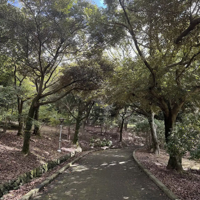 Halla Arboretum, Jeju Island,S.Korea