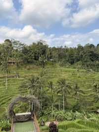 Lush Bali Escapes🌿