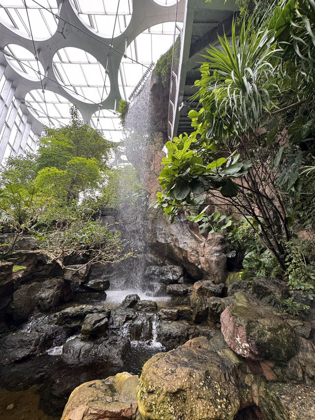 Shanghai’s Dreamy Greenhouse Escape 🌿✨