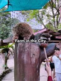 Farm In The City: Interactive Wildlife Experience for the Whole Family