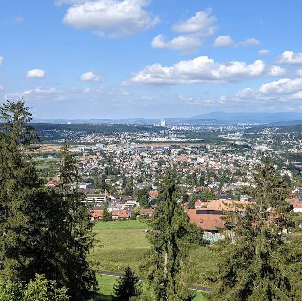 Ruine Pfeffingen – A Castle Above the Basel Countryside