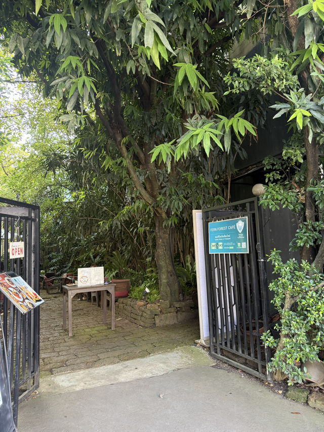 📍คาเฟ่ในสวนเฟิร์นสุดร่มรื่นกลางเมืองเชียงใหม่