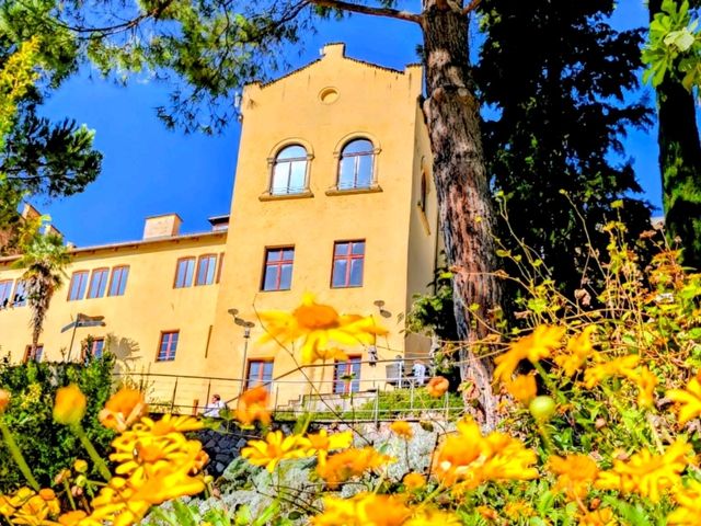 Sun Gardens