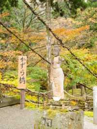 踏み板の隙間が多く、スリル満点のかずらで造られた吊り橋