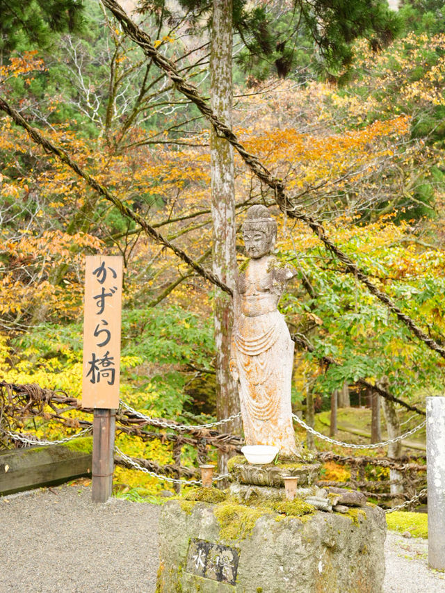 踏み板の隙間が多く、スリル満点のかずらで造られた吊り橋