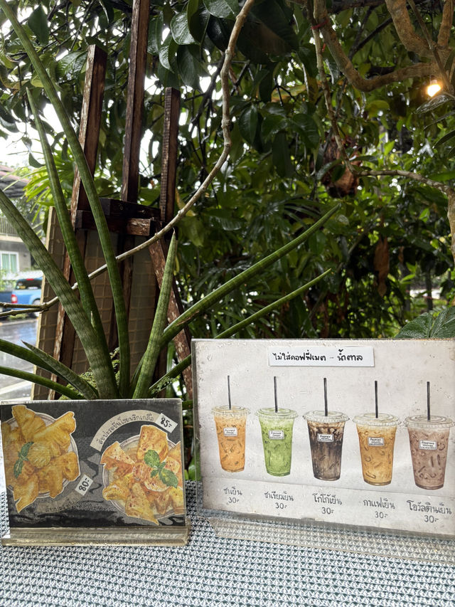 ☕🌿 “น้องแคทคาเฟ่” มุมสงบกลางฝนในอำเภอพรหมคีรี 🌧️
