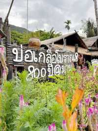 บ่อเกลือสินเธาว์ภูเขา มาเดินดูผลิตภัณฑ์จากเกลือกัน