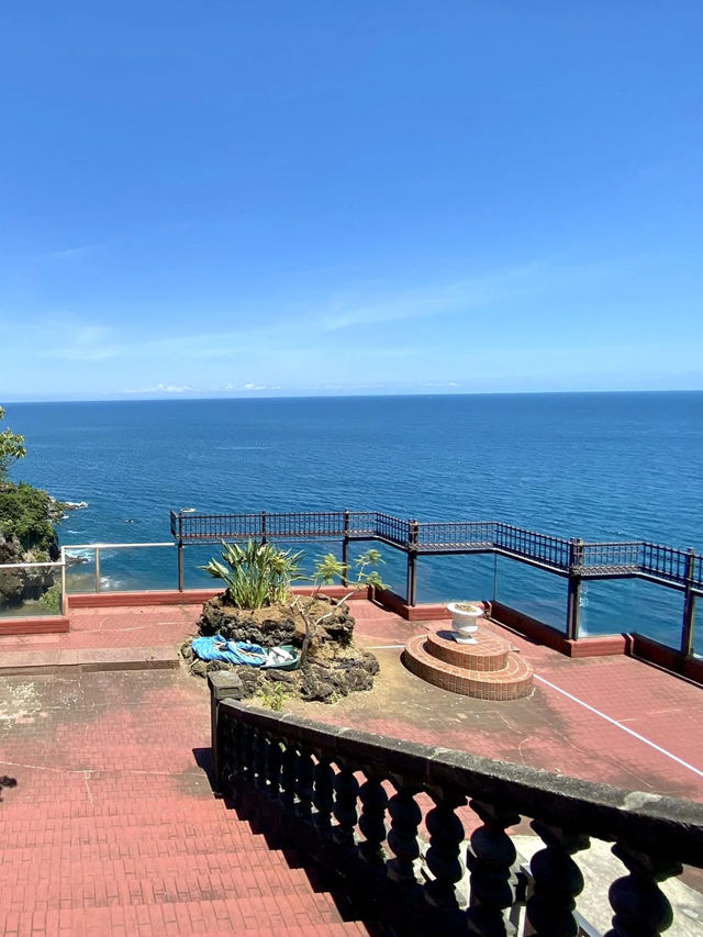 🌺 Ocean Views & Sweet Treats at Hana no Yosei, Atami