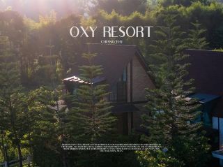 清萊住宿靠近Choui Fong Tea Plantation 🌳