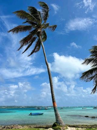 A Sparkling Caribbean Paradise of Crystal Waters