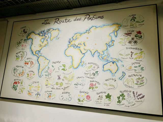 ニースからバスで30分！エズ村魅力ご紹介🦅⛰️🌹