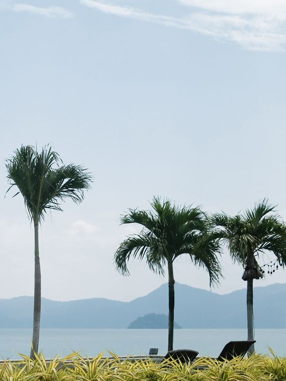 Langkawi Nights: From Seaside Luxury to Fire Show Magic 