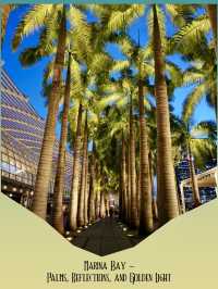 Art on the Streets🌆 A Visual Diary