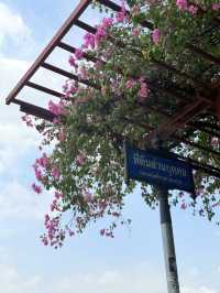 วัดอรุณในมุมต่างๆ 📸