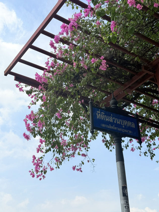 วัดอรุณในมุมต่างๆ 📸 วัดอรุณในมุมต่างๆ 📸