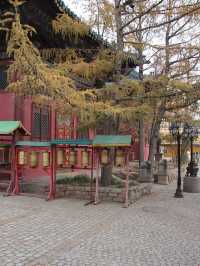 Migjid Janraisig Sum - Big Copper Statue