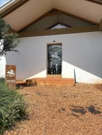 ไร่วันยังขำ คาเฟ่ โอพันเทีย และสวนสน