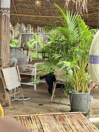 ร้านอาหารวิวดีโซนแม่วาง