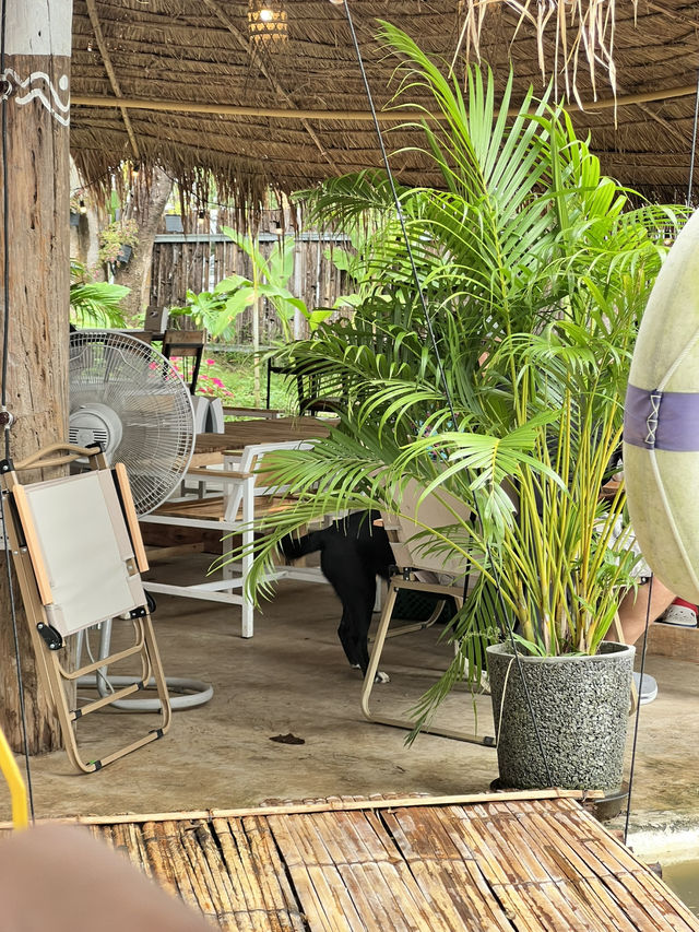 ร้านอาหารวิวดีโซนแม่วาง ร้านอาหารวิวดีโซนแม่วาง