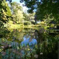 Ayrlies Garden and Wetlands