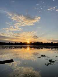 Nature Meets History🌿