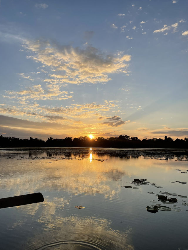Nature Meets History🌿
