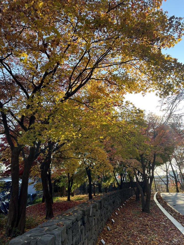 🌿걷기 좋은 아차산 산책로