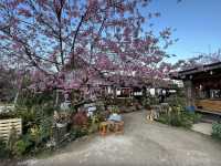 บ้านพักโปโป&ปิงปิง โฮมสเตย์ ขุนวาง