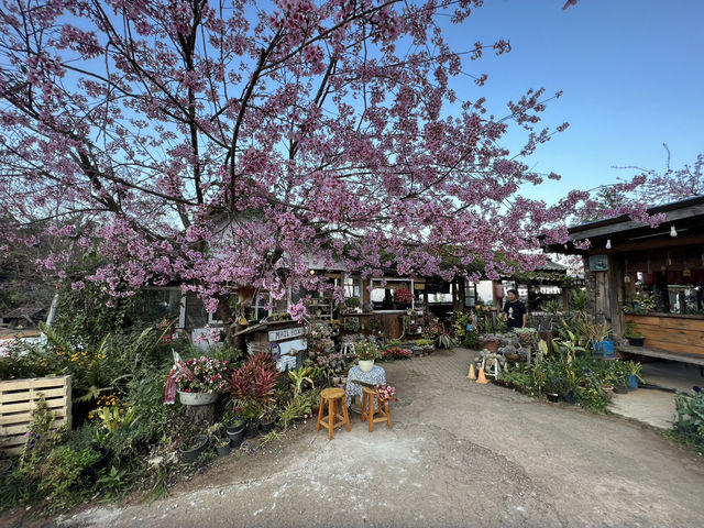 บ้านพักโปโป&ปิงปิง โฮมสเตย์ ขุนวาง บ้านพักโปโป&ปิงปิง โฮมสเตย์ ขุนวาง