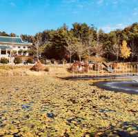 Impeccable Gardens and Architectural Harmony