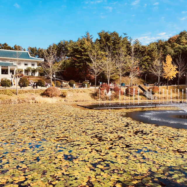 Impeccable Gardens and Architectural Harmony Impeccable Gardens and Architectural Harmony