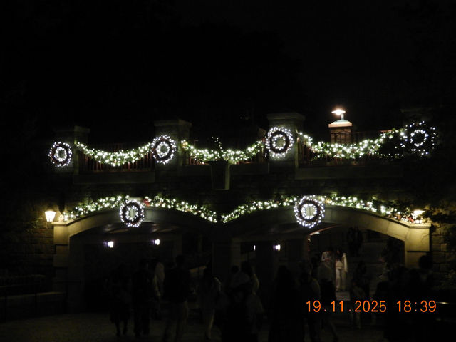 [Christmas Edition🎄❄️] HK Disneyland 20th Anniversary