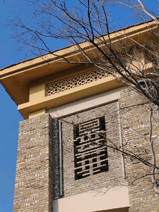 🇨🇳 武漢~「曇」花一現嗎?🌸🌺🌷 🇨🇳 武漢~「曇」花一現嗎?🌸🌺🌷