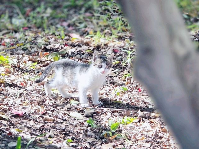 Jiaxing Nights✨ Jiaxing Nights✨